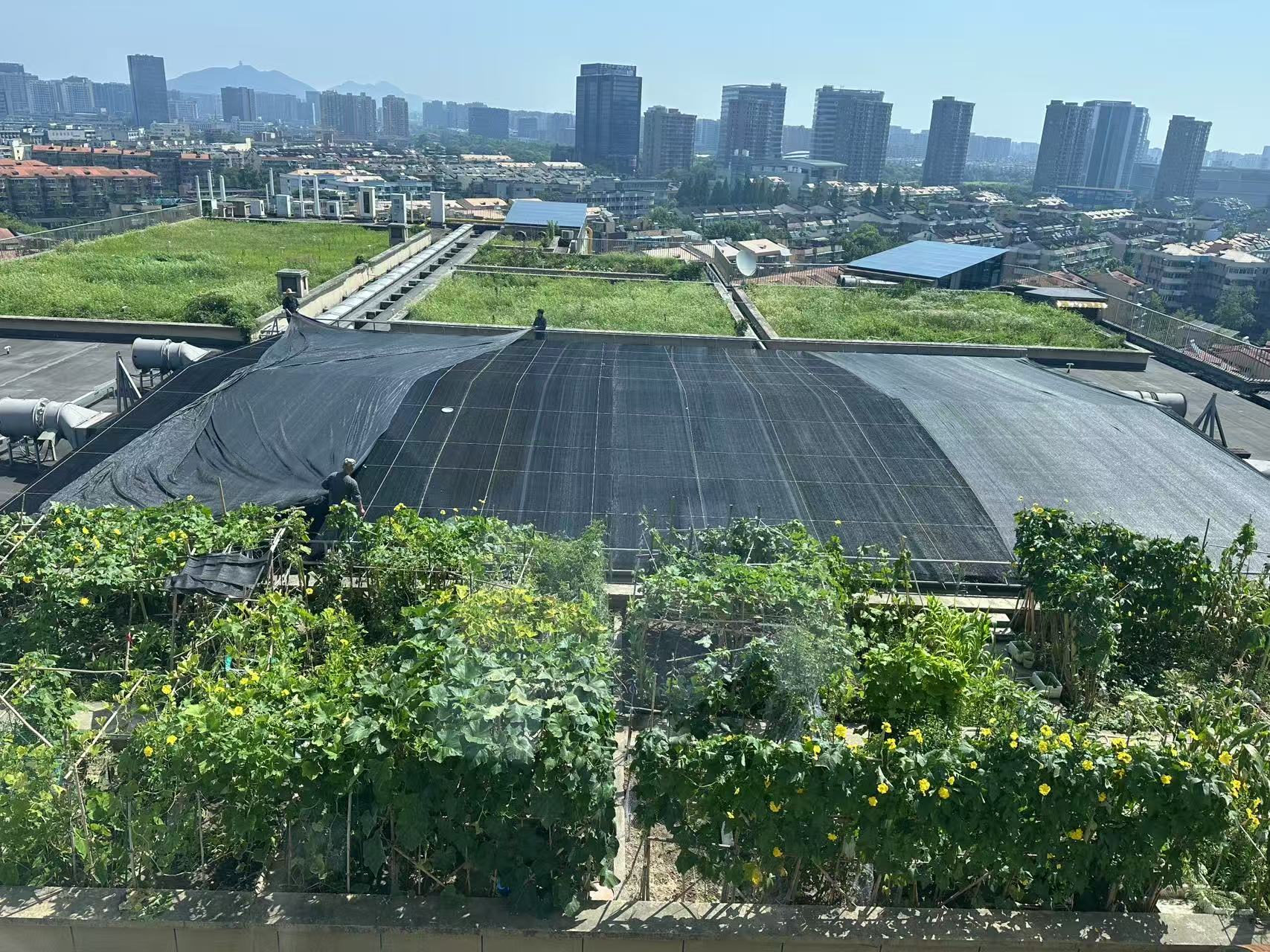 水晶城巧施」刳阳术“，为节能降耗注入清冷动力