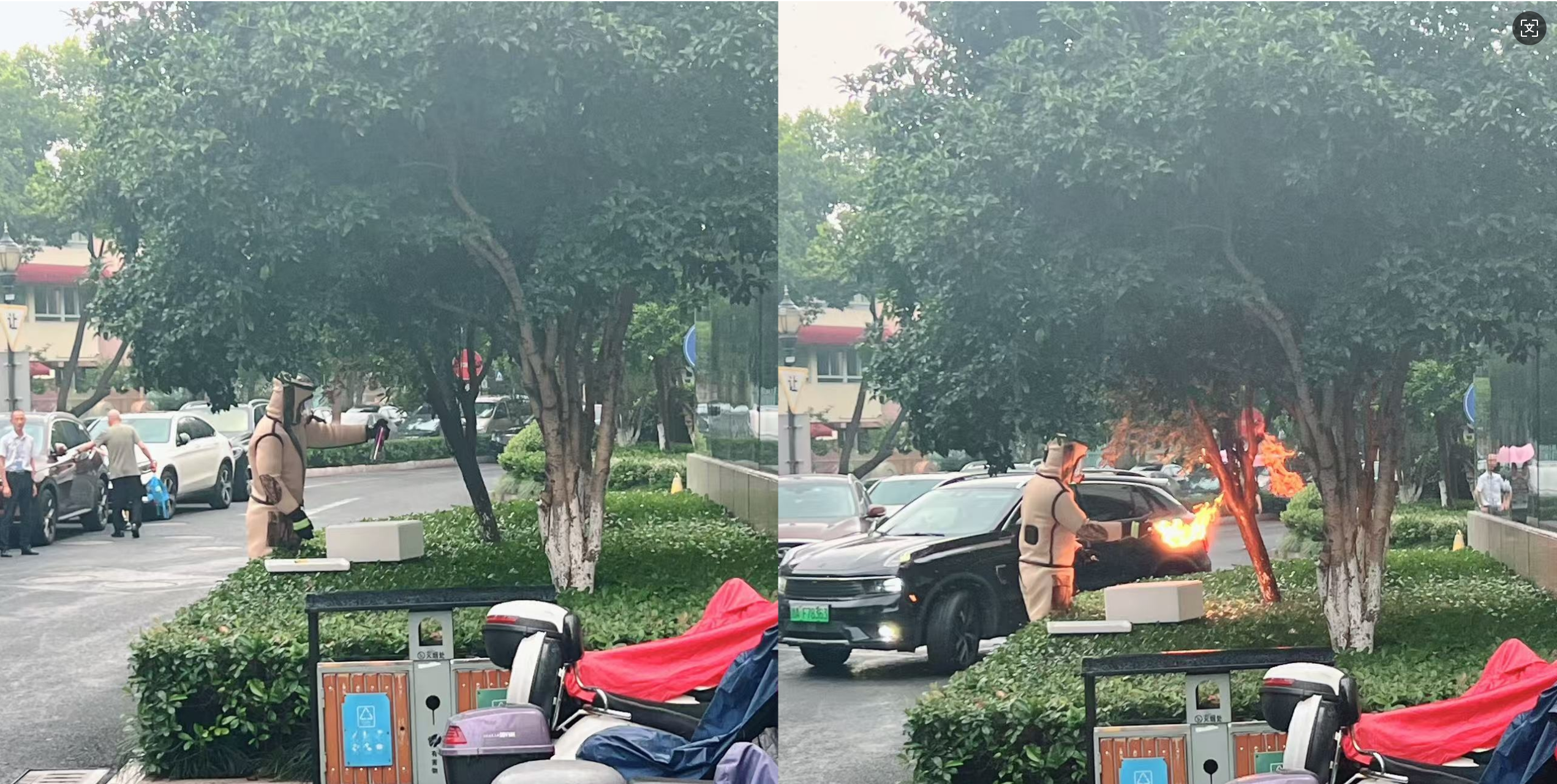 安全守护零距离，水晶城急剧措置表围蜂群隐患
