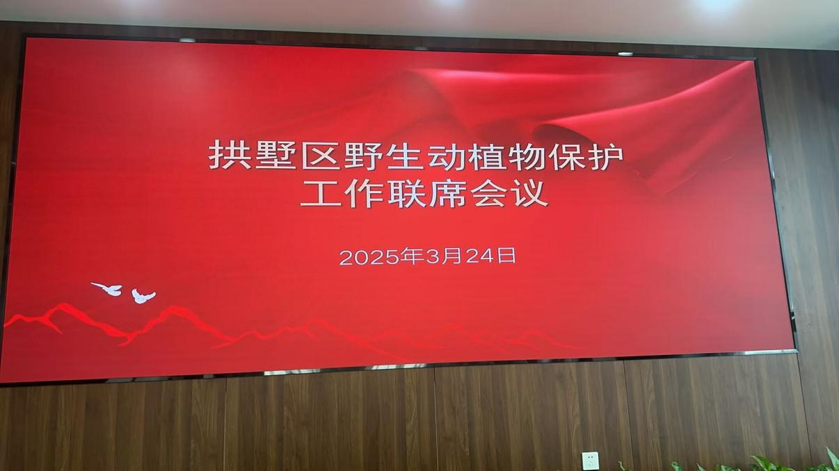 钱江商城参与拱墅区野活泼植物；すぷ髁嵋
